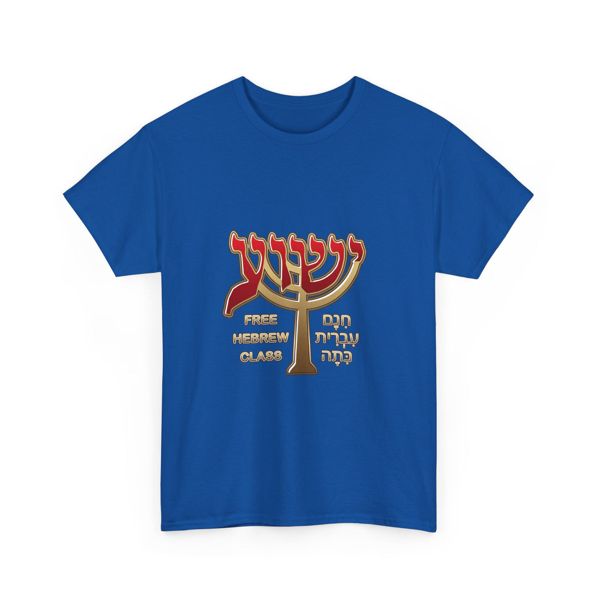 Unisex Heavy Cotton Tee