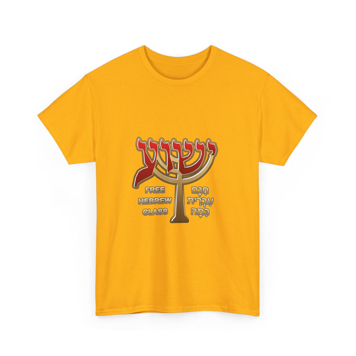 Unisex Heavy Cotton Tee